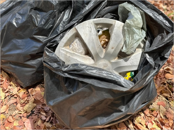 Dia Mundial da Limpeza é celebrado com mutirão ambiental e plantio de mudas no  [...]